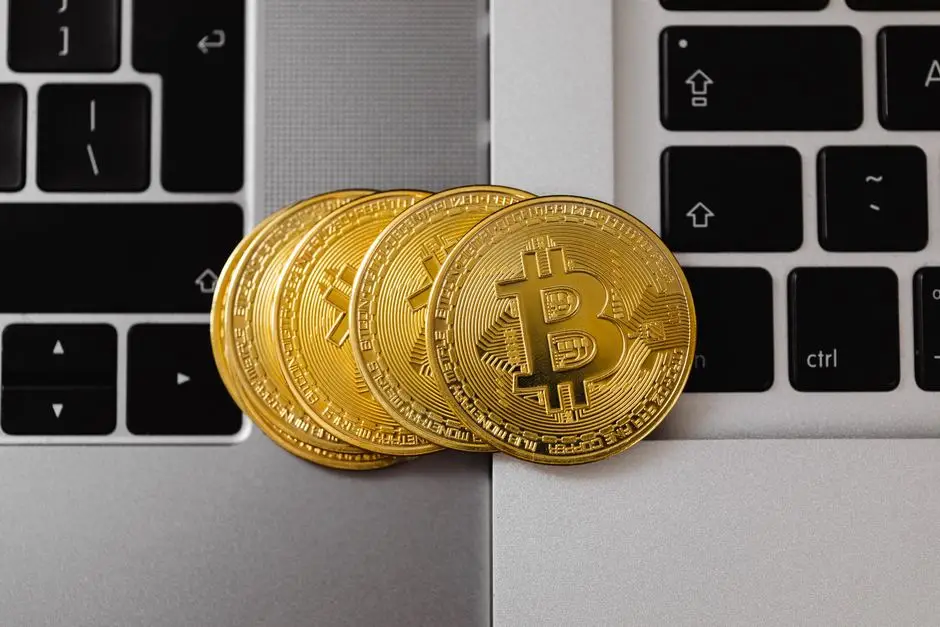 Por que as criptomoedas verdes estão atraindo investidores sérios
